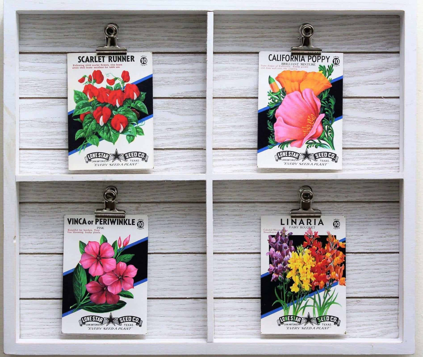 Seed Packets, Dodson Seed Store, Turnip, NOS, Vintage