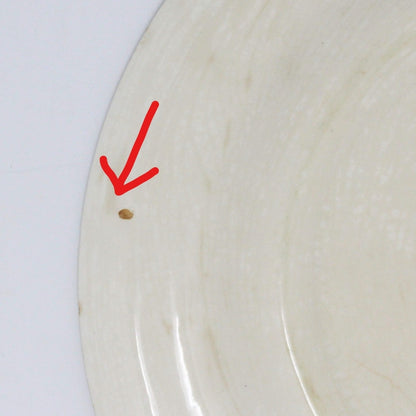 Dinner Plate, Royal China, Colonial Homestead, Gray, Vintage