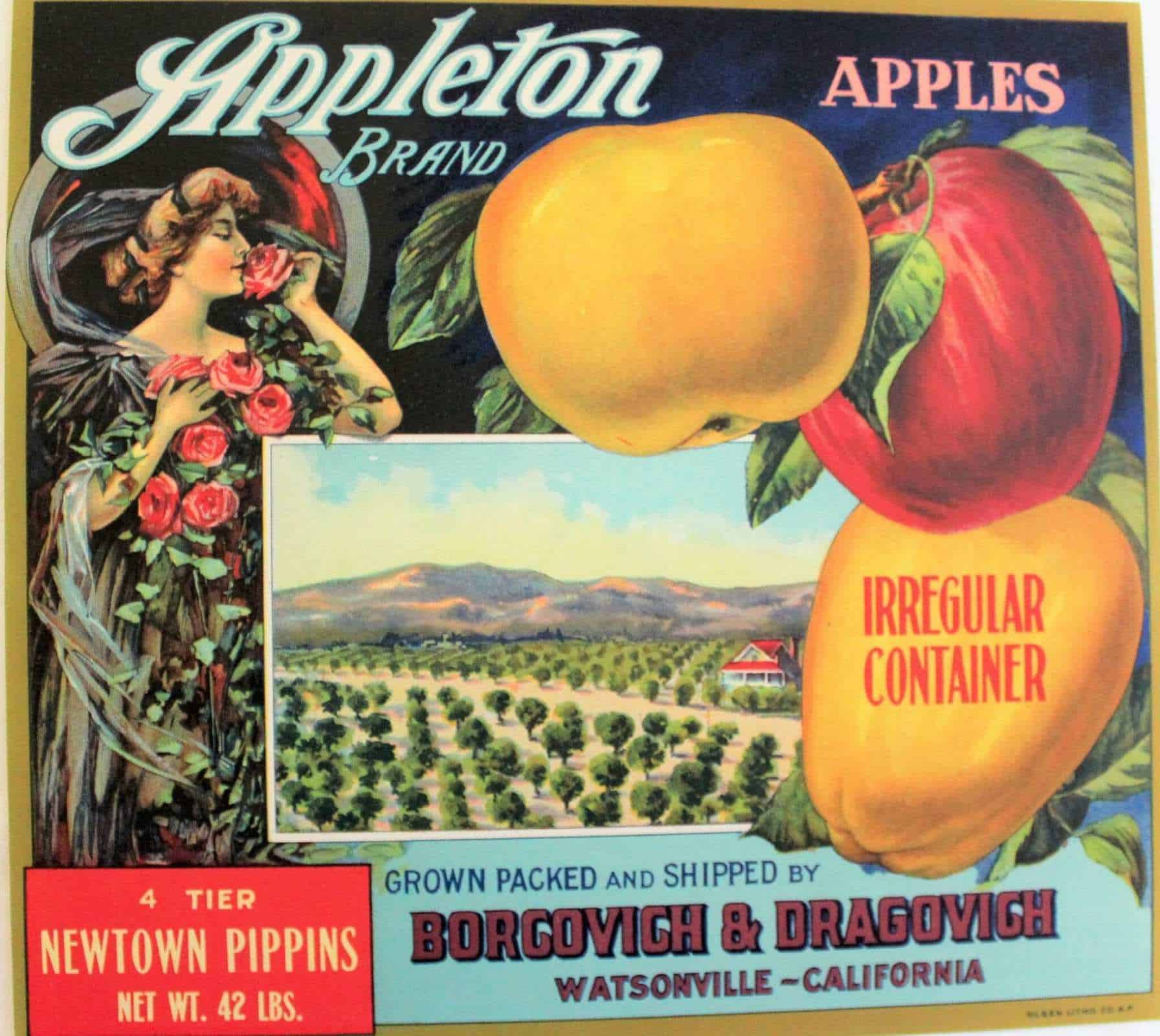 Crate Label, Appleton Newtown Pippins Apples, Original Lithograph, 191 ...