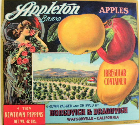 Crate Label, Appleton Newtown Pippins Apples, Original Lithograph, 1910's, Antique
