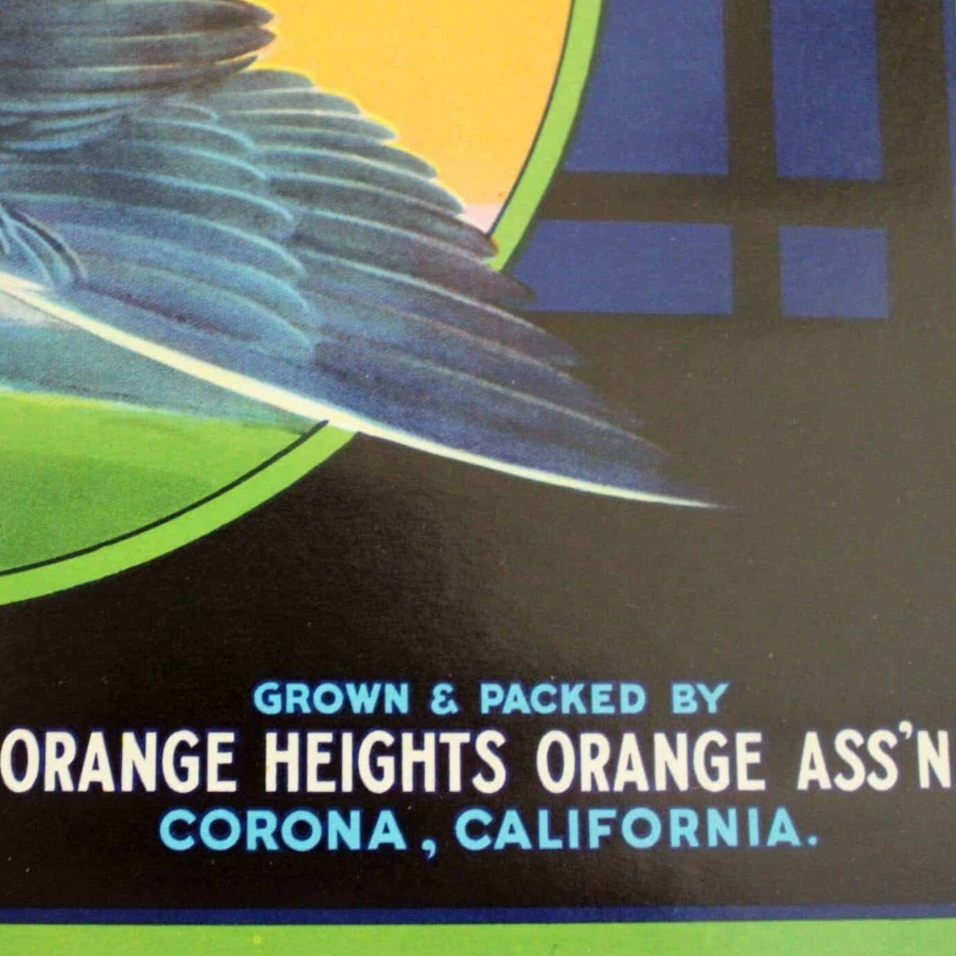 Crate Label, Homer Sunkist Brand Oranges, Original Lithograph, 1940's NOS, Vintage