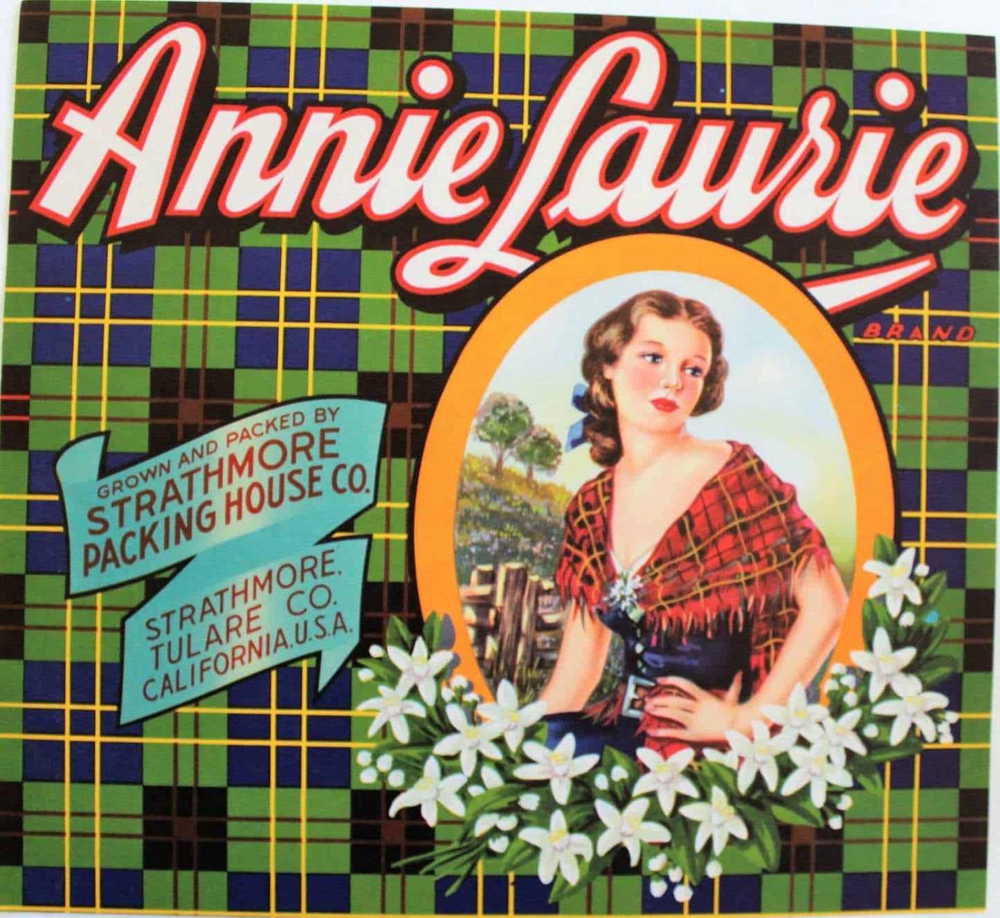 Crate Label, Annie Laurie Oranges, Original Lithograph, 1930's NOS, Vintage