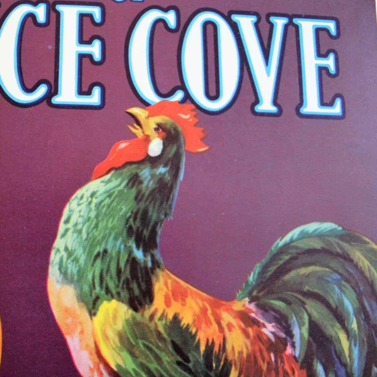 Crate Label, Pride of Venice Cove Rooster, Original Lithograph, 1940's, NOS