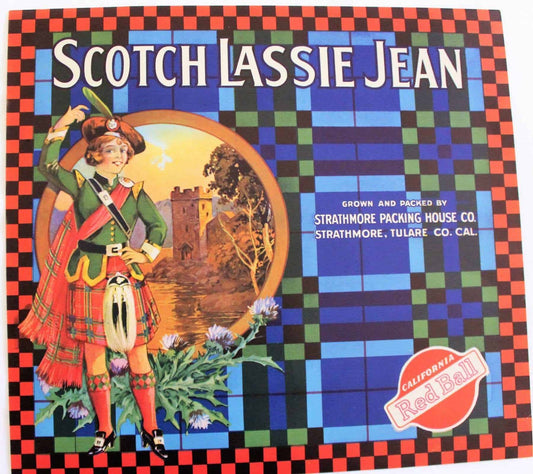 Crate Label, Scotch Lassie Jean Oranges, Original Lithograph, 1930's NOS, Vintage