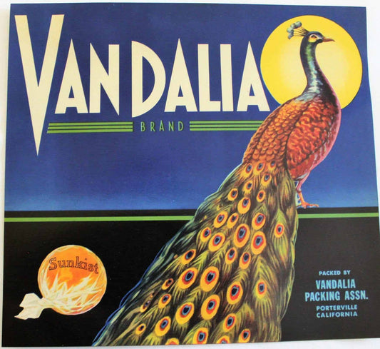 Crate Label, Vandalia Sunkist Oranges, Original Lithograph, 1930's NOS, Vintage