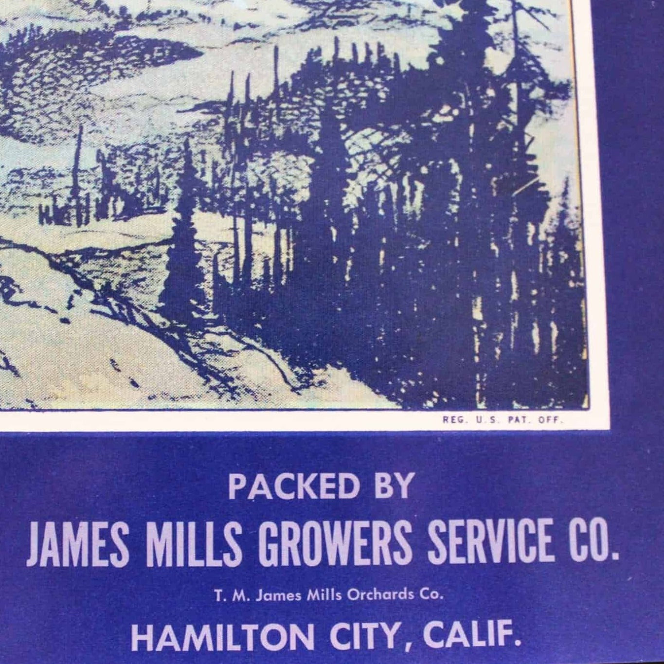 Crate Label, Mt Shasta California Pears, Original Lithograph, NOS, Vintage