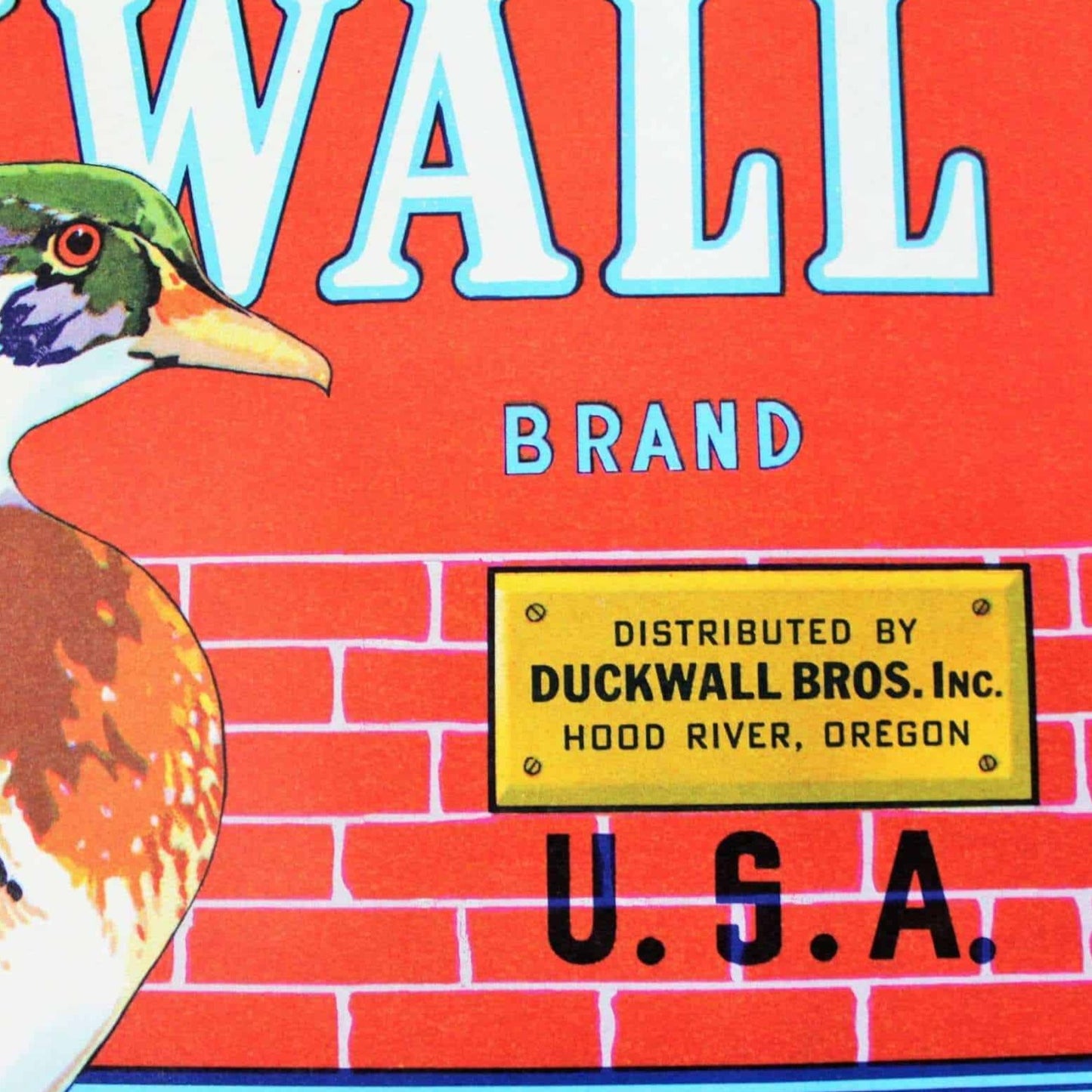 Crate Label, Duckwall, Hood River Pears, Original Lithograph, NOS, Vintage