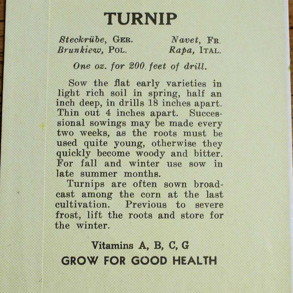 Seed Packets, Dodson Seed Store, Turnip, NOS, Vintage