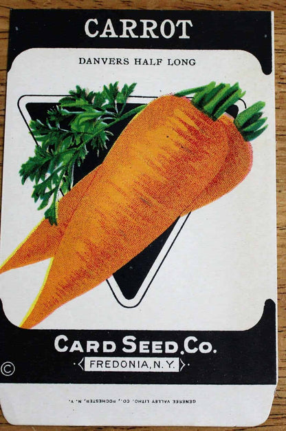 Seed Packets, Card Seed Co,  Carrot, NOS, Antique,