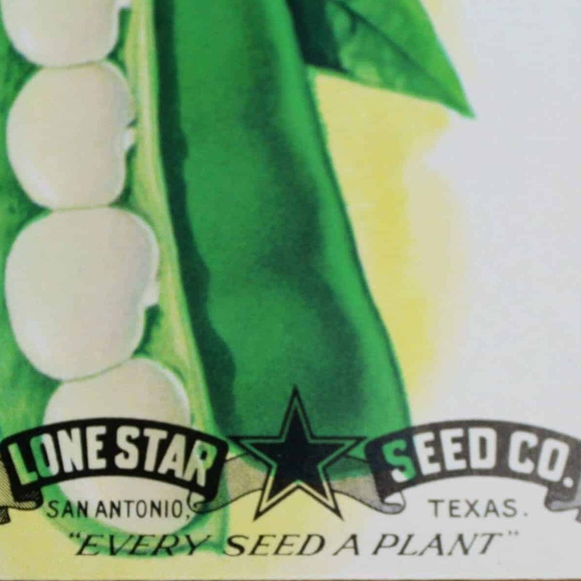 Seed Packets, Lone Star Seed Co, Lima Bush Beans, NOS, Vintage