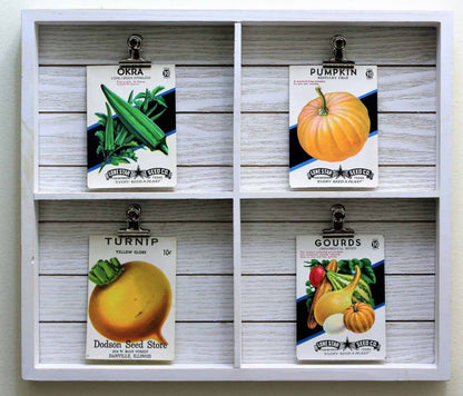 Seed Packets, Card Seed Co,  Carrot, NOS, Antique,