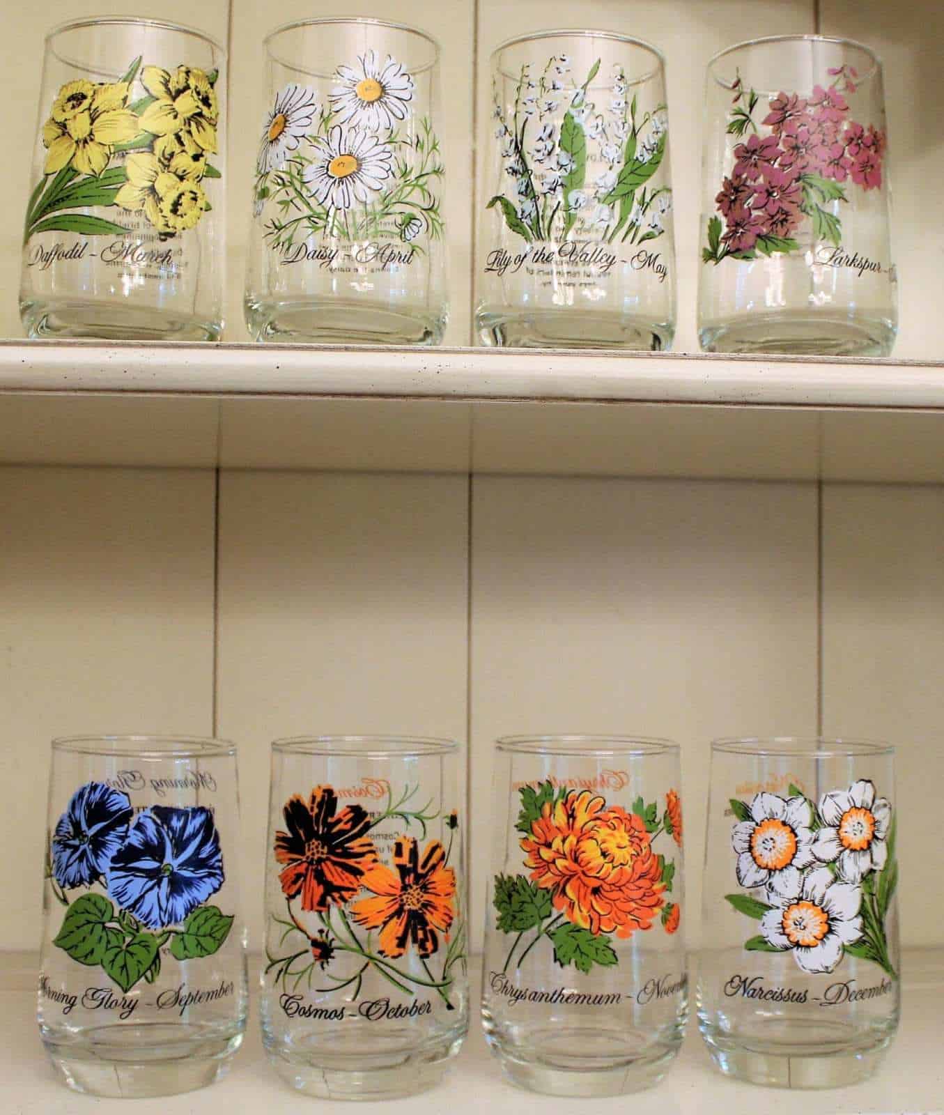 Glasses, Tumbler, Brockway Glass Flower of the Month, November / Chrysanthemum, Vintage