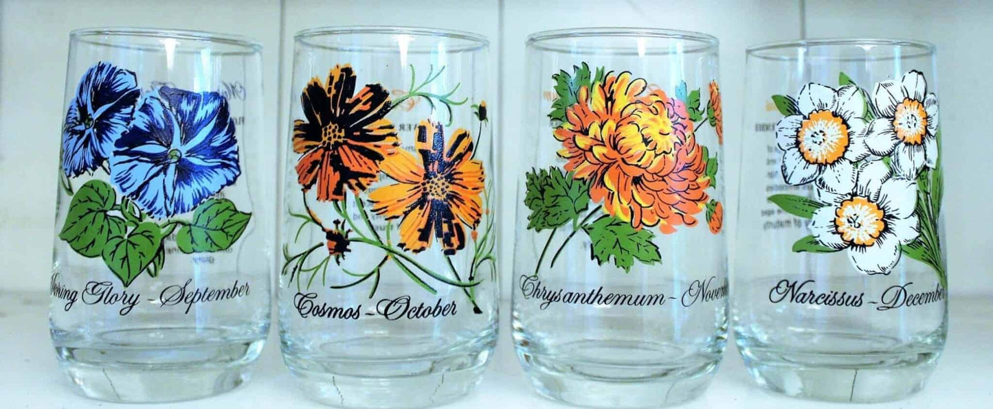 Glasses, Tumbler, Brockway Glass Flower of the Month, November / Chrysanthemum, Vintage