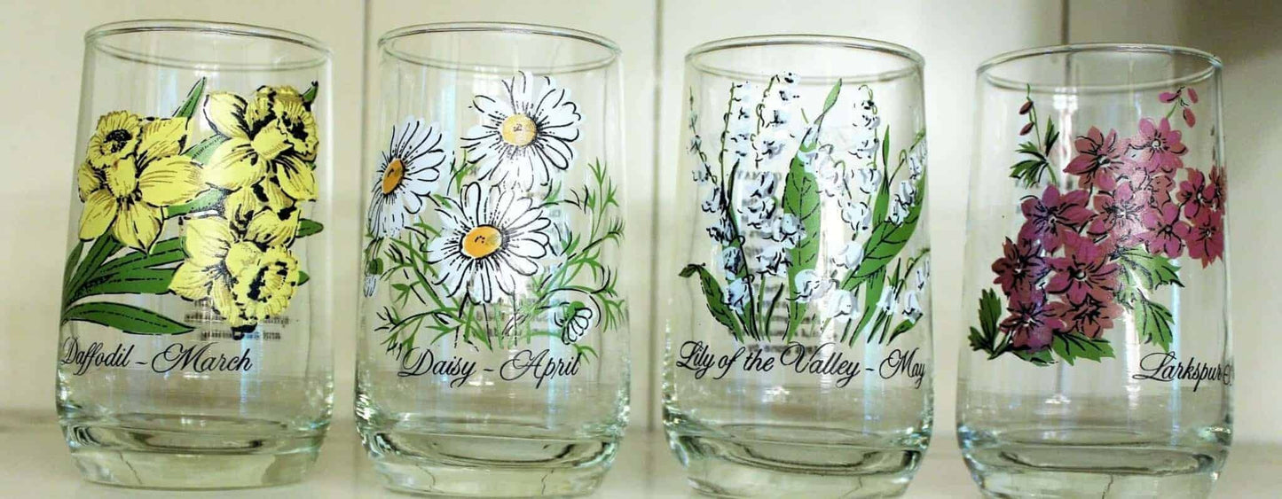 Glasses, Tumbler, Brockway Glass Flower of the Month, November / Chrysanthemum, Vintage