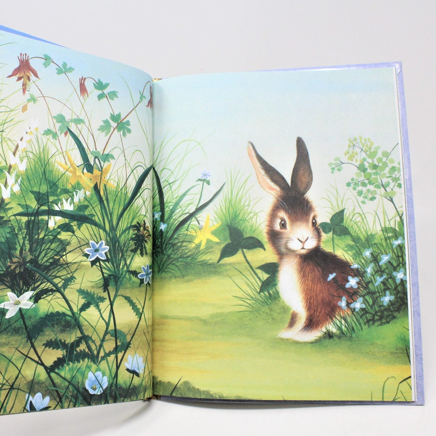 Children's Book, Big Little Golden Book, Home for a Bunny, Hardcover, 2005