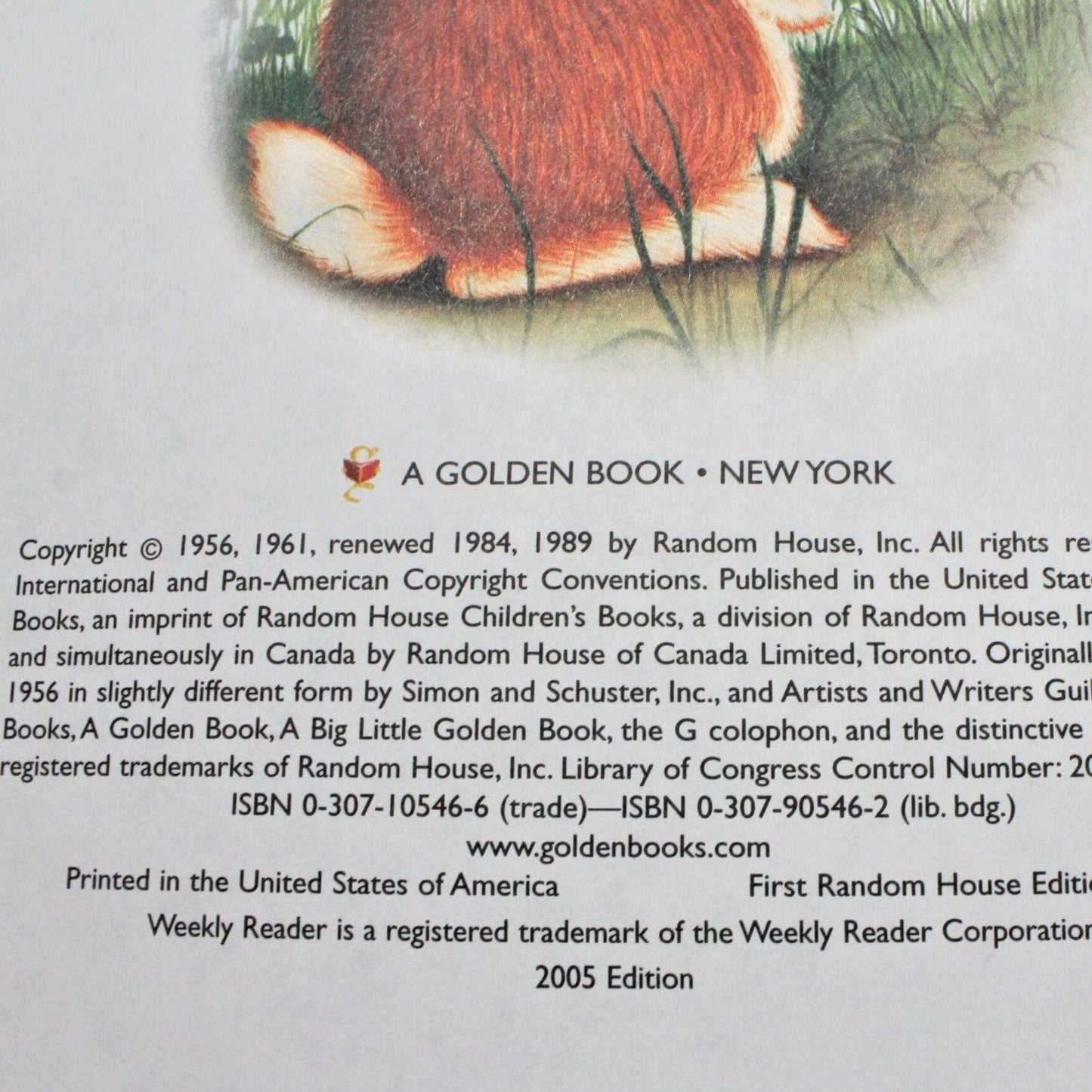 Children's Book, Big Little Golden Book, Home for a Bunny, Hardcover, 2005, SOLD