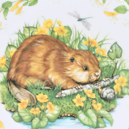 Decorative Plate, Royal Cornwall, Woodland Babies, Just Learning, Vintage