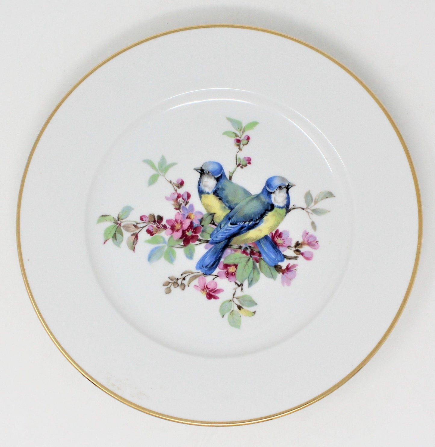 Dessert / Salad Plates, JKW Joseph Kuba, Song Birds, W. Germany, Vintage