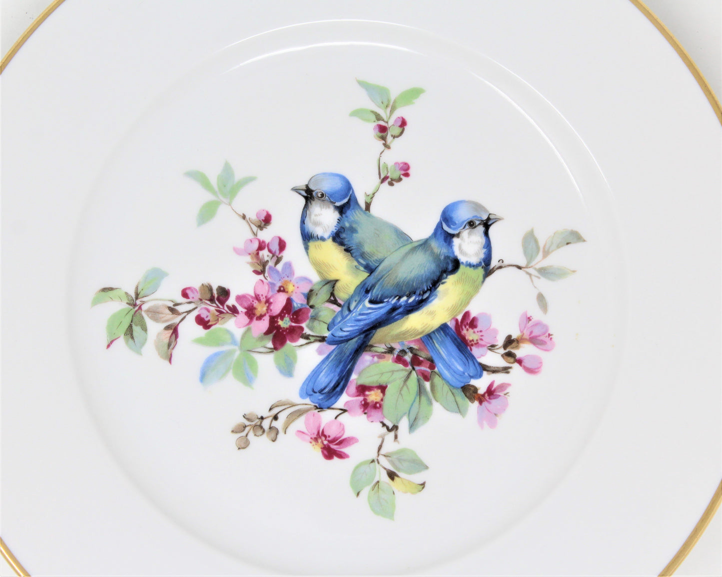 Dessert / Salad Plates, JKW Joseph Kuba, Song Birds, W. Germany, Vintage