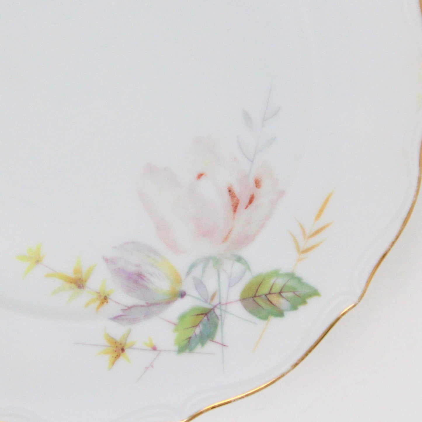 Decorative Plate, Bavaria Fredericksburg, Floral, W. Germany, Vintage –  Antigo Trunk