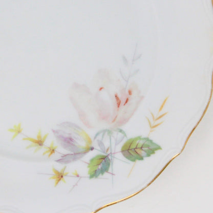 Decorative Plate, Bavaria Fredericksburg, Floral, W. Germany, Vintage