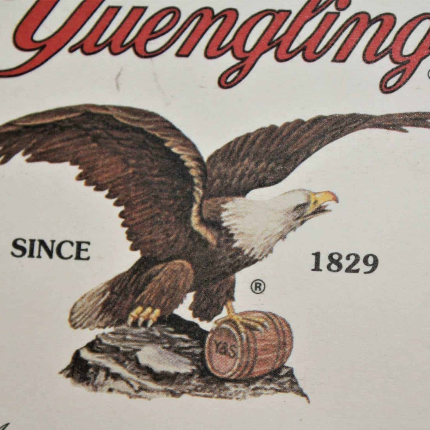 Coasters, Yuengling Beer, Brewery Eagle Logo, Set of 8, Vintage NOS