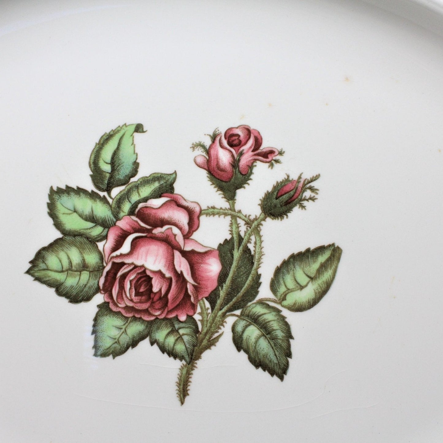 Serving Platter, Wedgwood of Etruria & Barlaston, Moss Rose, England, Vintage