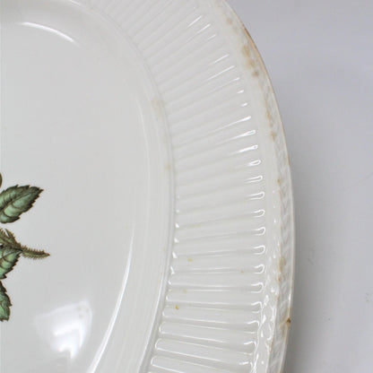 Serving Platter, Wedgwood of Etruria & Barlaston, Moss Rose, England, Vintage