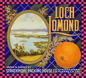 Crate Label, Loch Lomond Oranges, Original Lithograph, 1930's NOS, Vintage